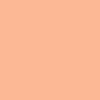 رنگ هایلایتر Fair Warm Peach